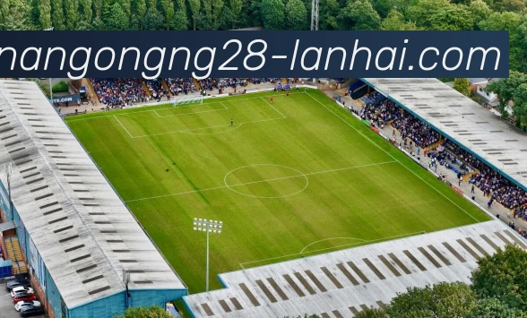 南宫NG28APP 体育赛事宣传图